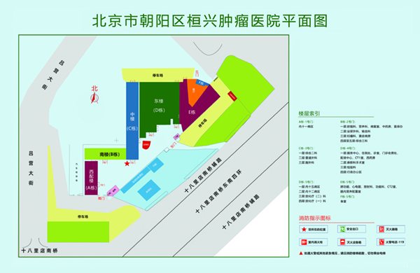 鸡巴插到逼里面网站北京市朝阳区桓兴肿瘤医院平面图